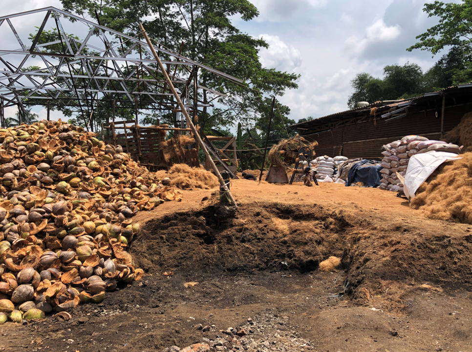 Biomassa Pembangkit Listrik