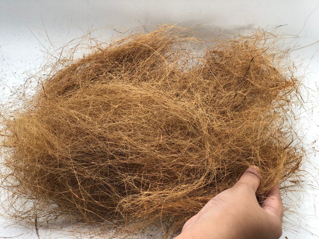 coconut fiber