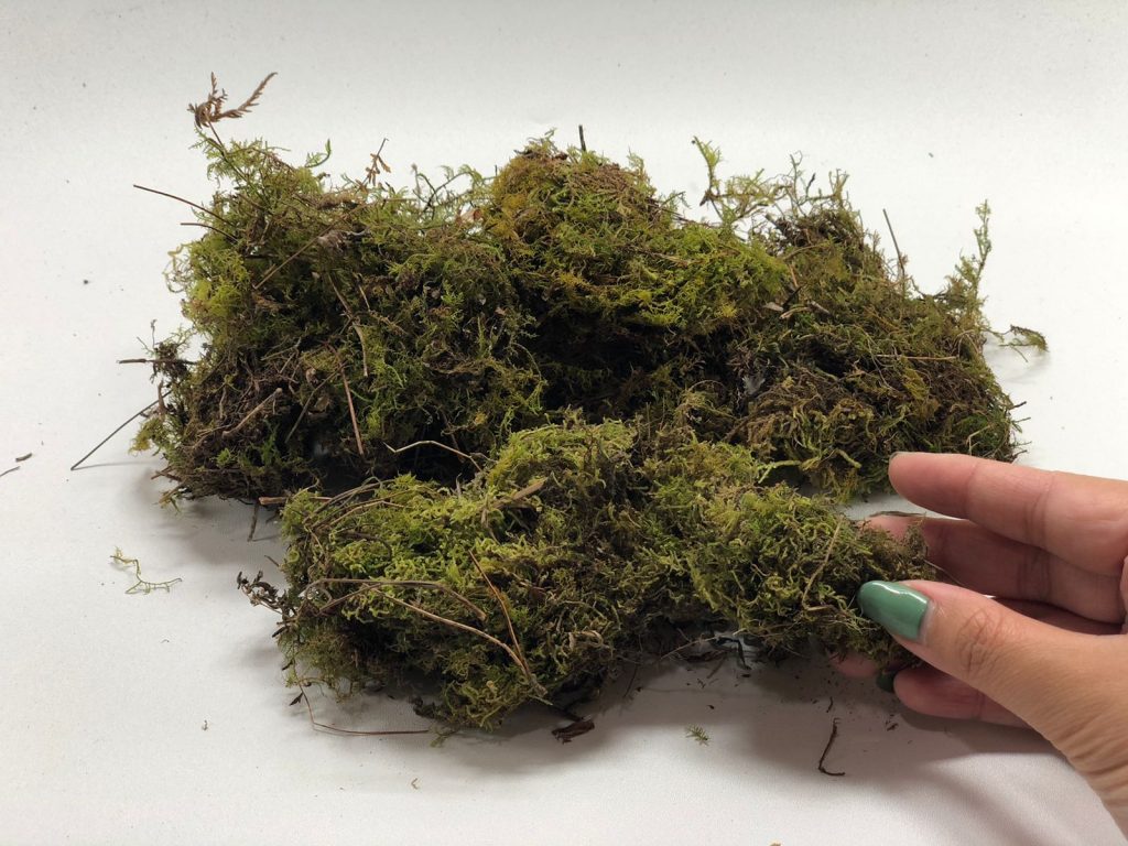 peat moss