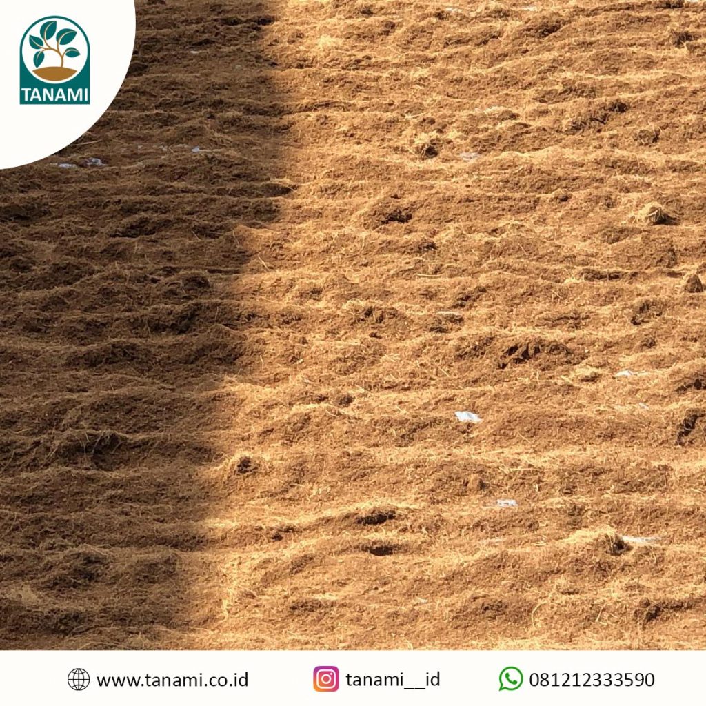 Cocopeat ulat jerman