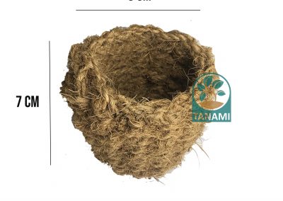 coco pot