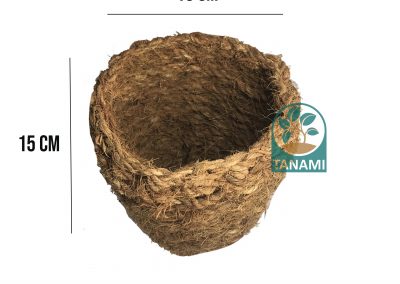 coco pot