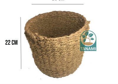 coocnut pot