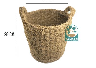 coconut pot