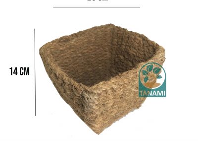 coco pot