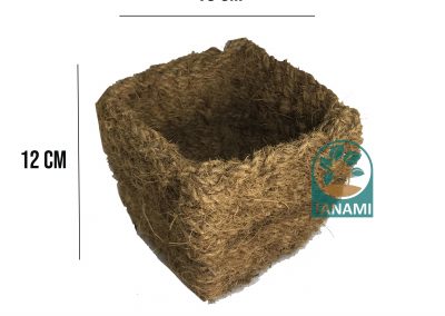 coco pot