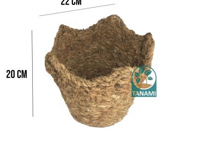 coco pot