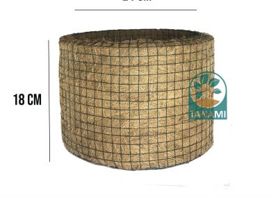 coco pot