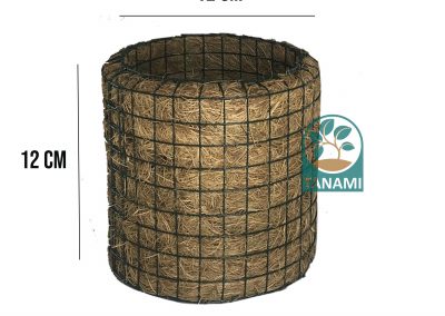 coco pot