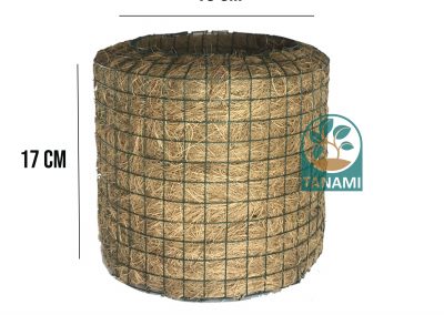 coco pot