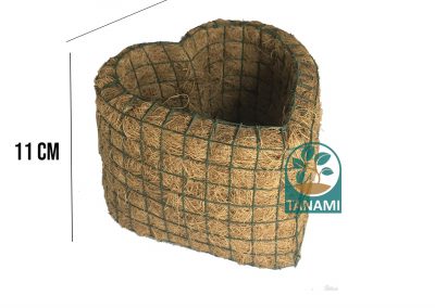 coco pot