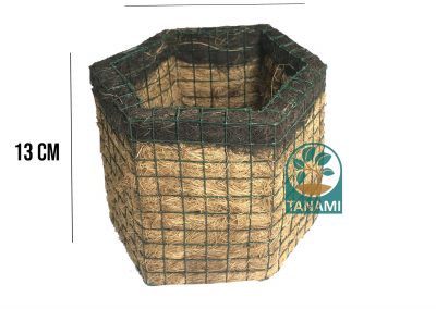 coco pot