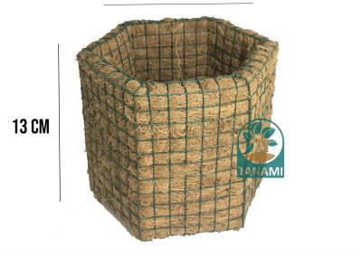coco pot