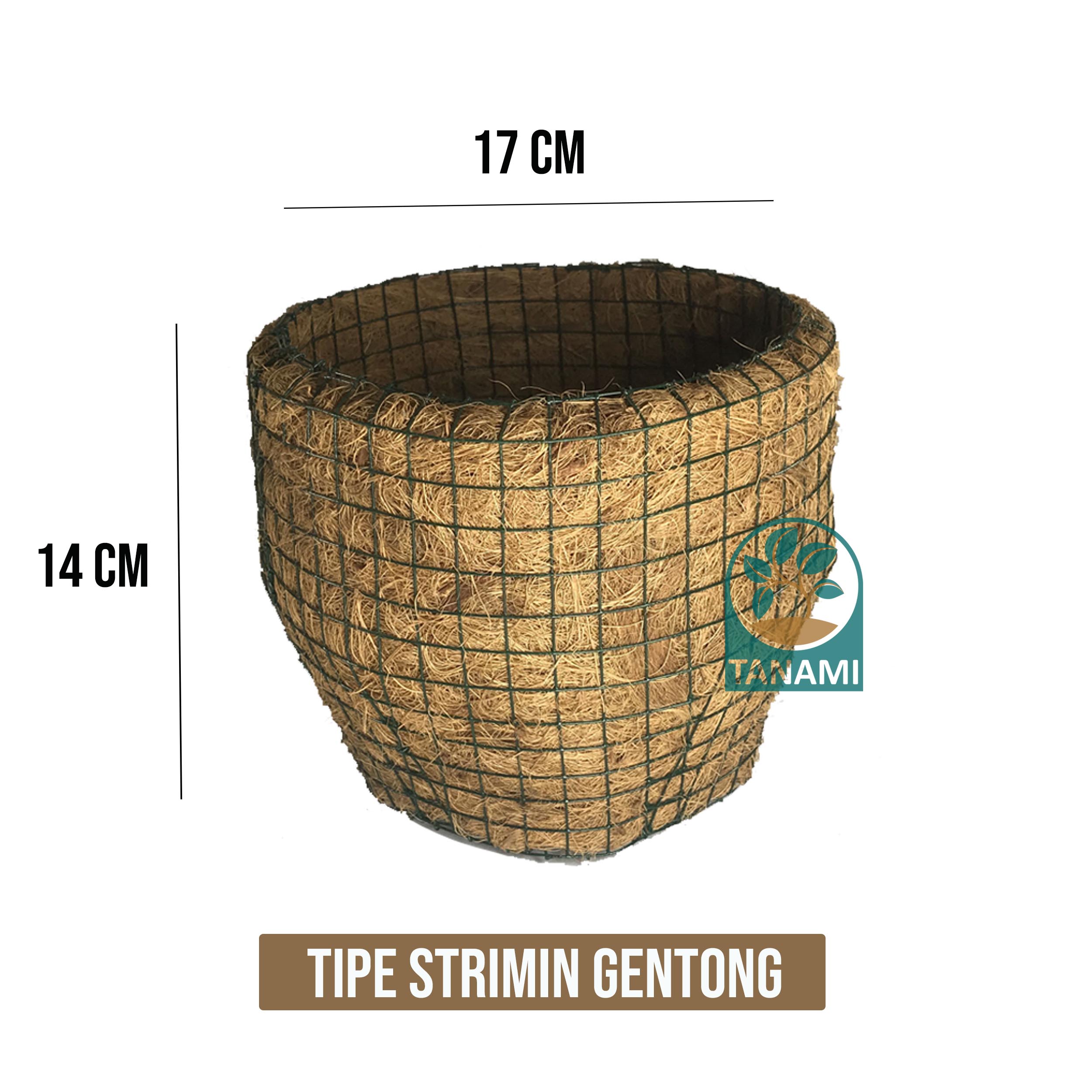 Pot Sabut Kelapa (Coco Pot) Strimin Gentong Jual Coco Peat, Coconut