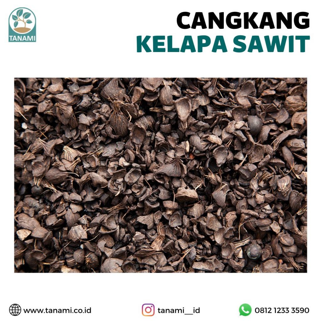 Biomassa Merupakan