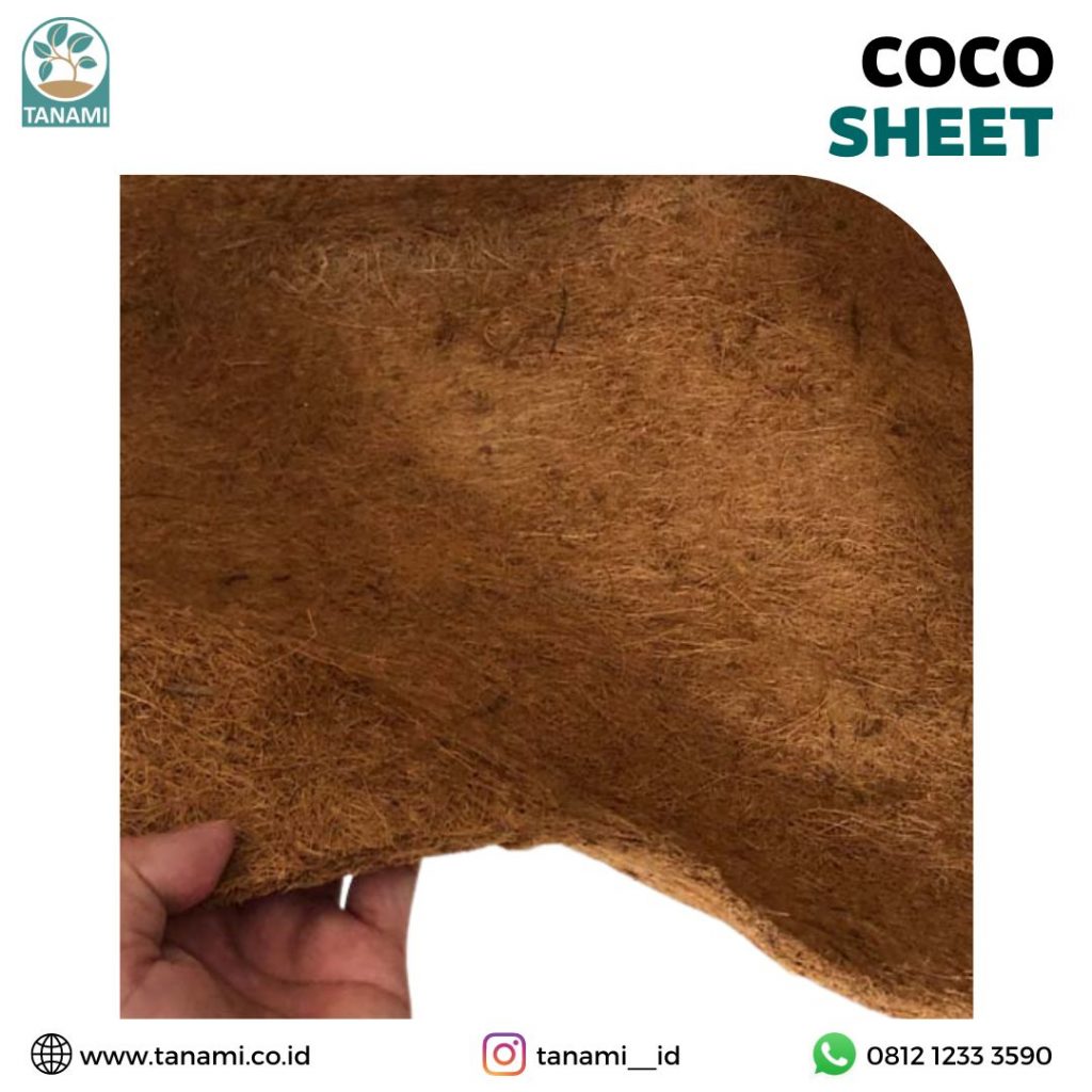 coco sheet