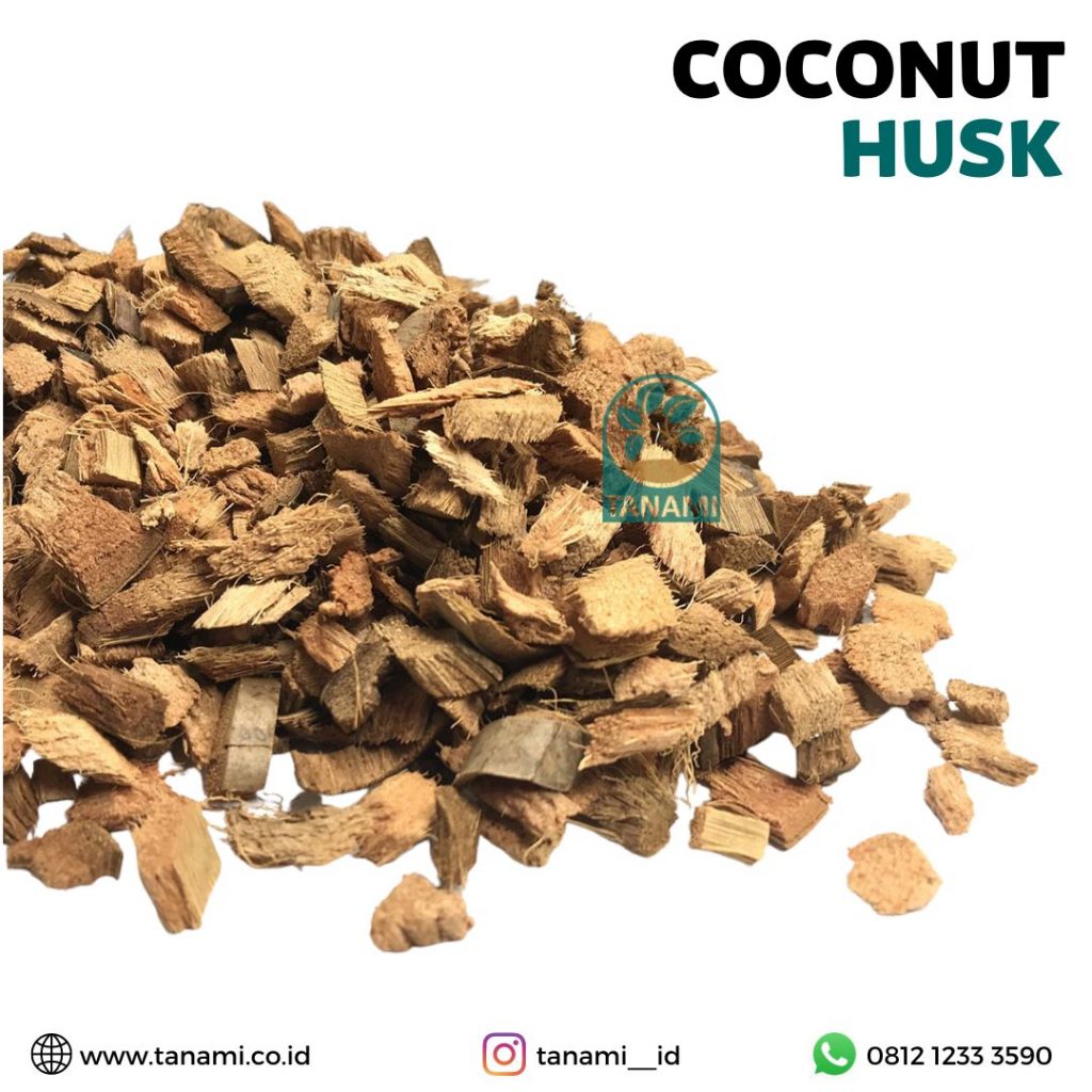 coconut husk alas reptil adalah
