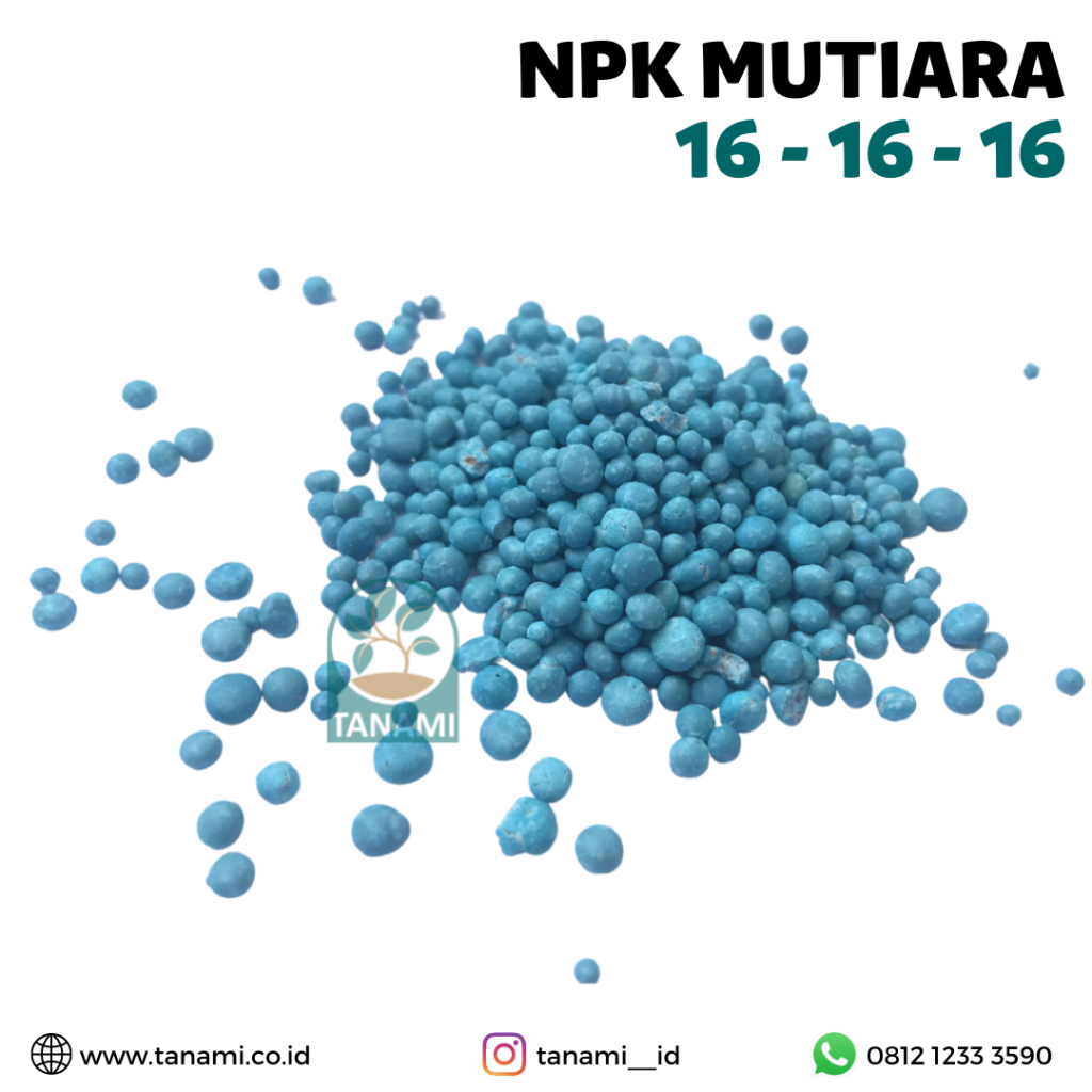 npk mutiara untuk anggrek
