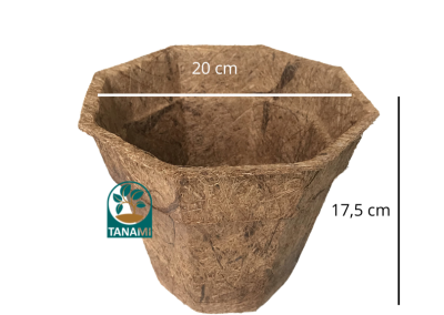 coco pot