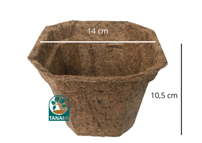 coco pot