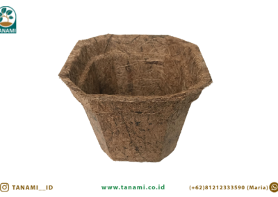coco pot