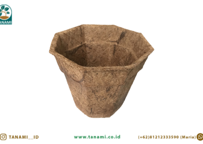 cocopot
