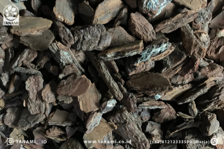 Biomassa sebagai bahan organik berasal dari