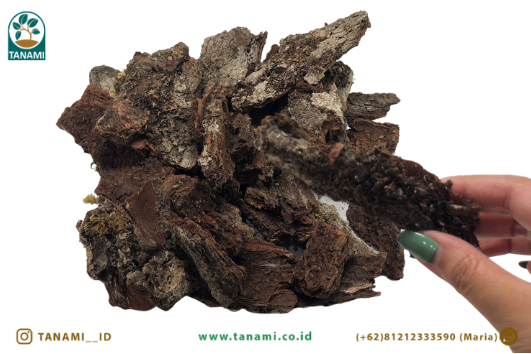 Biomassa Merupakan