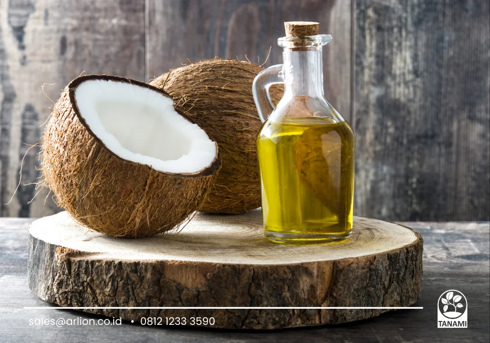 minyak kelapa untuk rambut