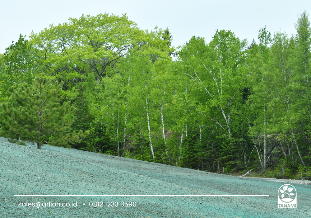 hydroseeding penanaman cepat
