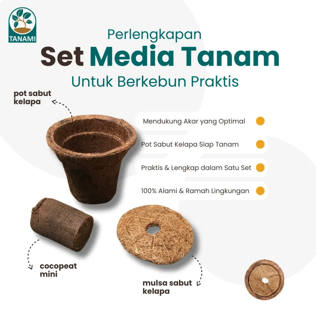 set media tanam