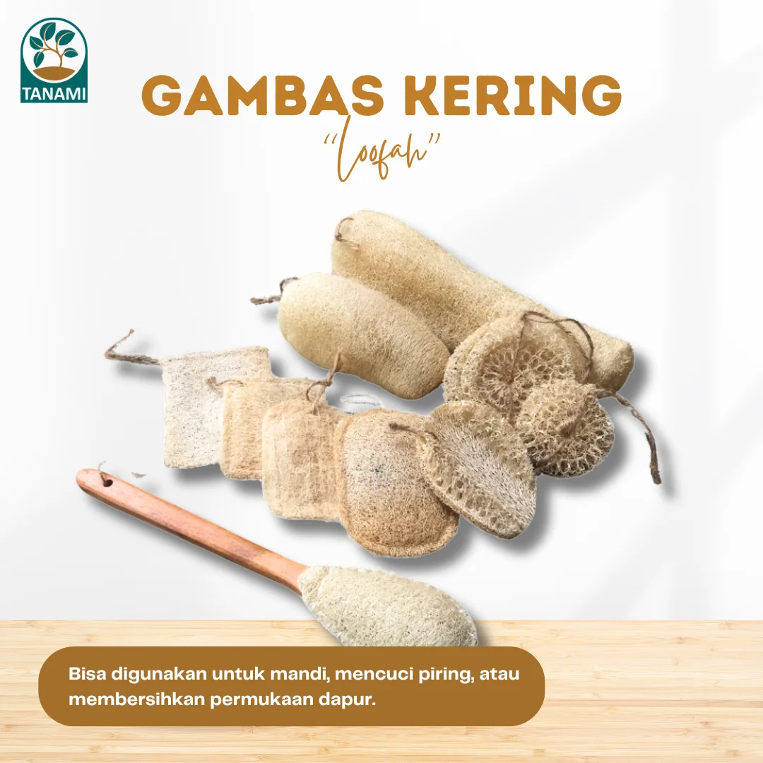 gambas kering loofah gambas kering