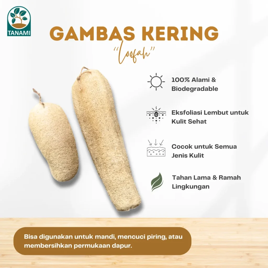 loofah gambas kering