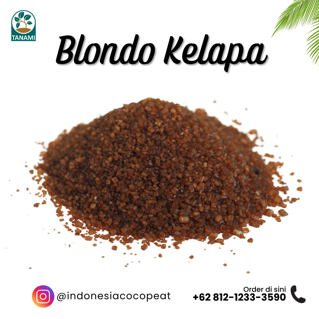 blondo jogja_px blondo jogja, blondo gudeg, blondo artinya