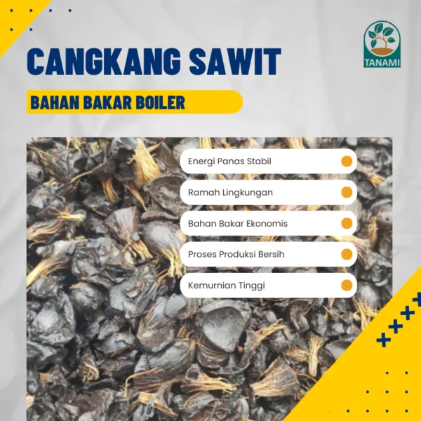 Cangkang Sawit