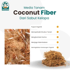 Coconut Fiber
