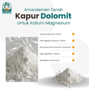 Kapur Dolomit