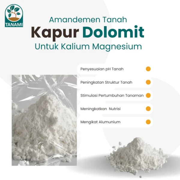 Kapur Dolomit