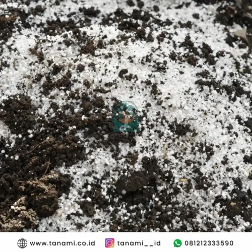 Coco Perlite cocopeat and perlite mix ratio