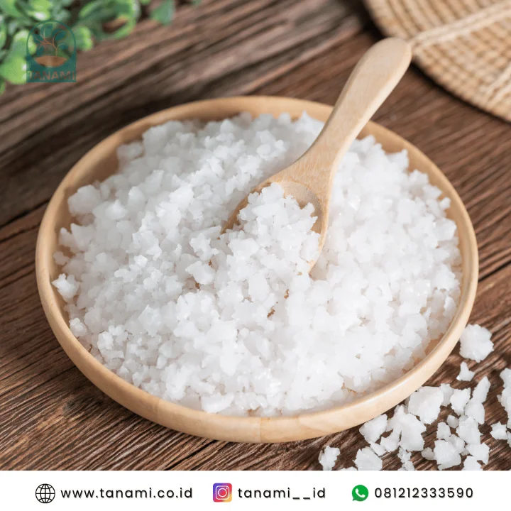 garam krosok beli dimana