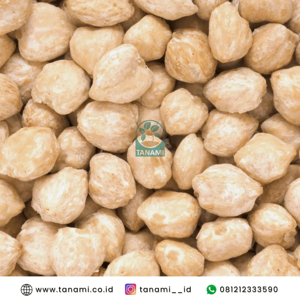 rempah kemiri
