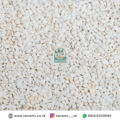 jual perlite karungan