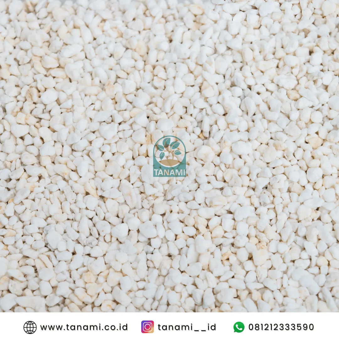 Perlite jual perlite karungan