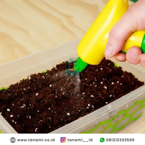 Coco Perlite media tanam hidroponik