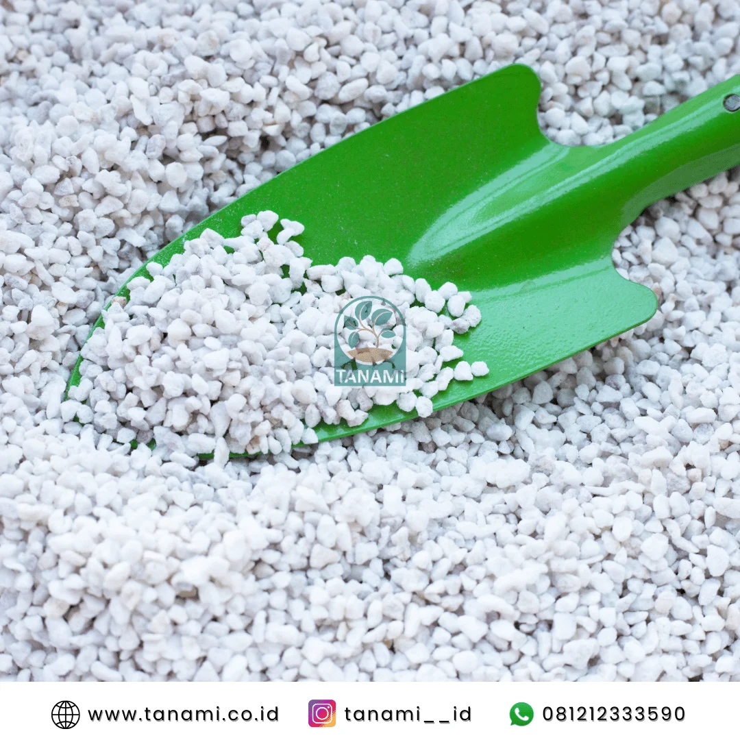 perlite media tanam