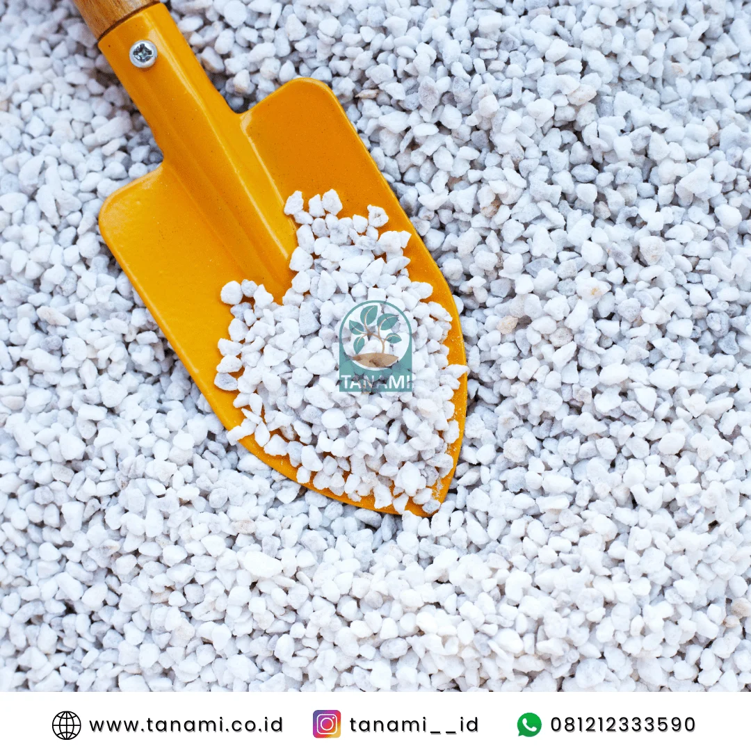 perlite untuk apa