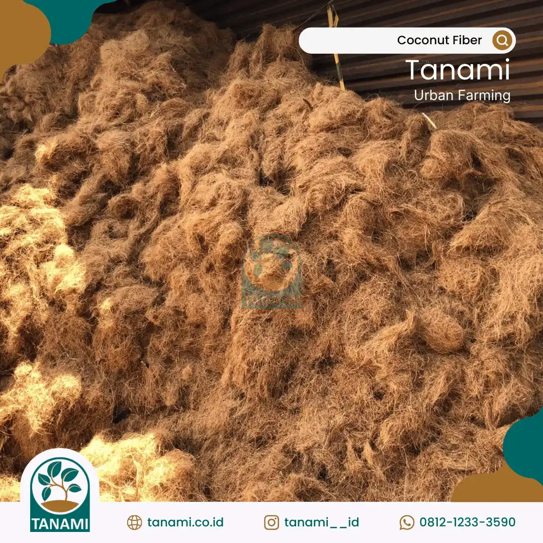 Coconut Fiber coco fiber adalah