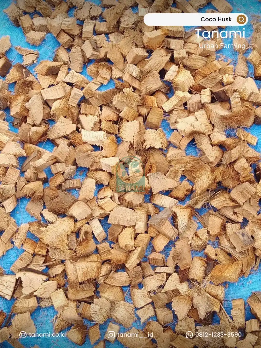 coco husk chips