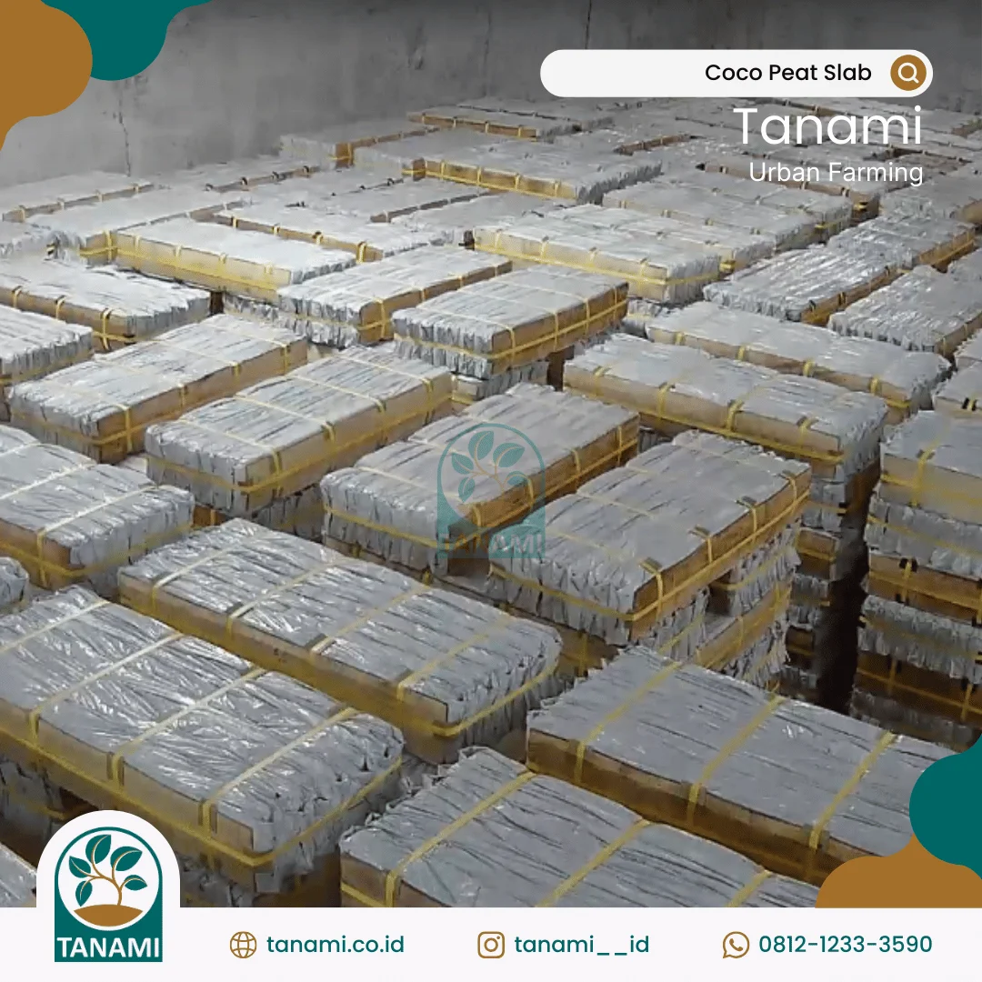 coco peat slab media tanam sayuran di polybag