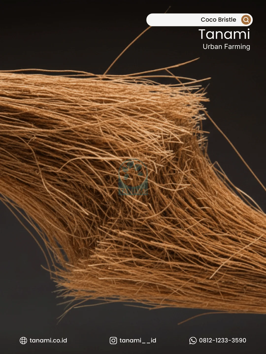 coconut bristle broom